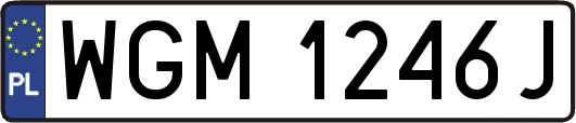 WGM1246J