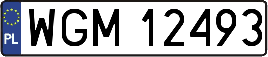 WGM12493