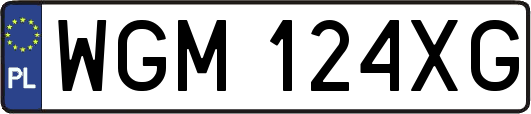 WGM124XG