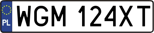 WGM124XT
