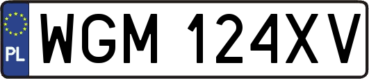 WGM124XV