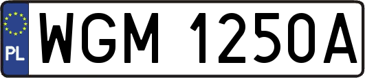 WGM1250A