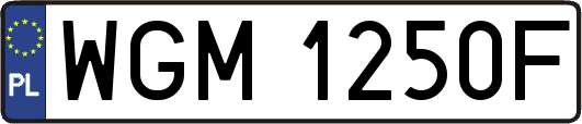 WGM1250F