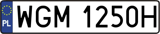 WGM1250H