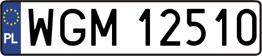WGM12510