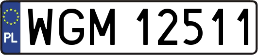 WGM12511