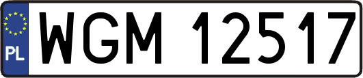 WGM12517