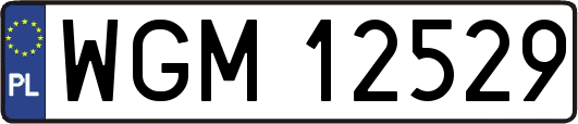 WGM12529