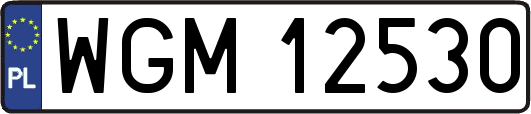 WGM12530