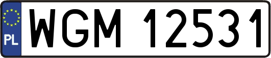 WGM12531