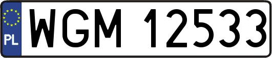 WGM12533