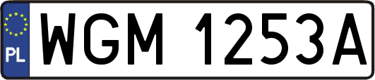 WGM1253A