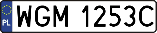 WGM1253C