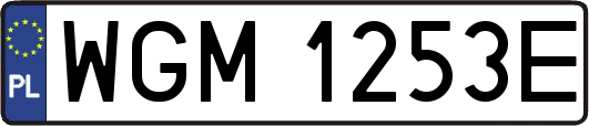 WGM1253E