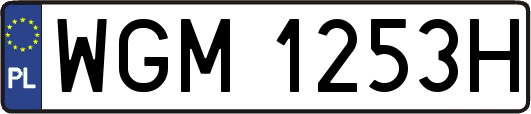 WGM1253H