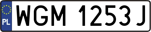 WGM1253J