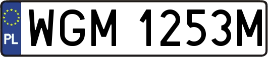 WGM1253M