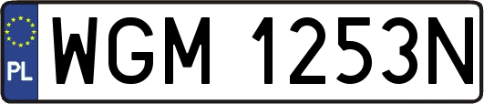 WGM1253N