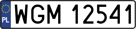 WGM12541
