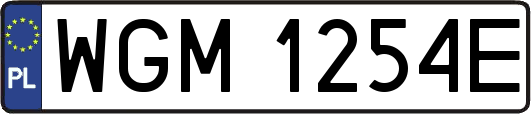 WGM1254E