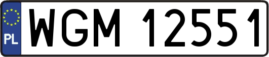 WGM12551