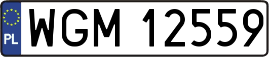 WGM12559