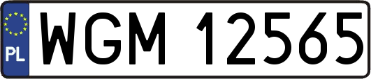 WGM12565