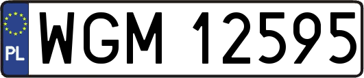 WGM12595