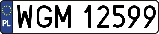 WGM12599