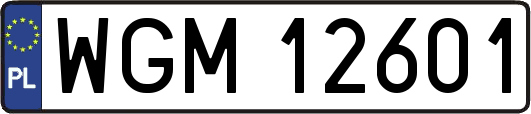 WGM12601