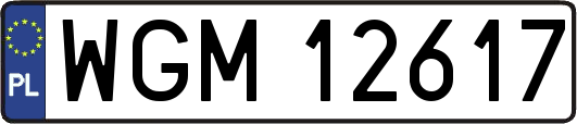 WGM12617