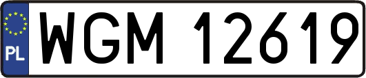 WGM12619