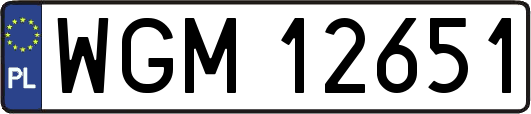 WGM12651