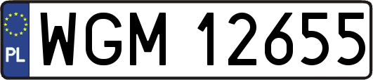 WGM12655