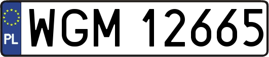 WGM12665