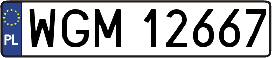WGM12667