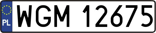 WGM12675