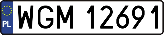 WGM12691