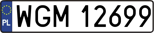 WGM12699