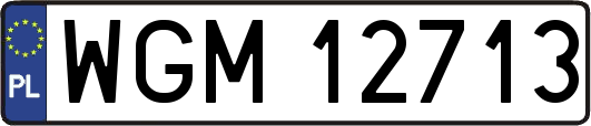 WGM12713