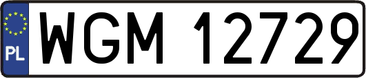 WGM12729
