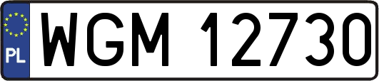 WGM12730