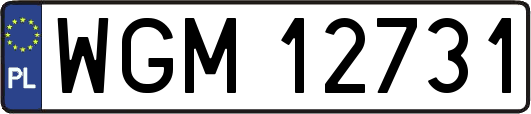 WGM12731
