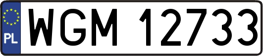 WGM12733
