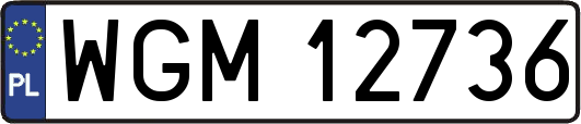 WGM12736
