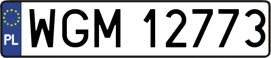 WGM12773