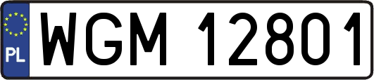 WGM12801