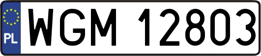 WGM12803
