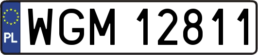 WGM12811