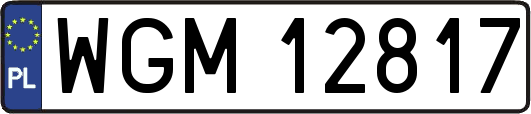 WGM12817